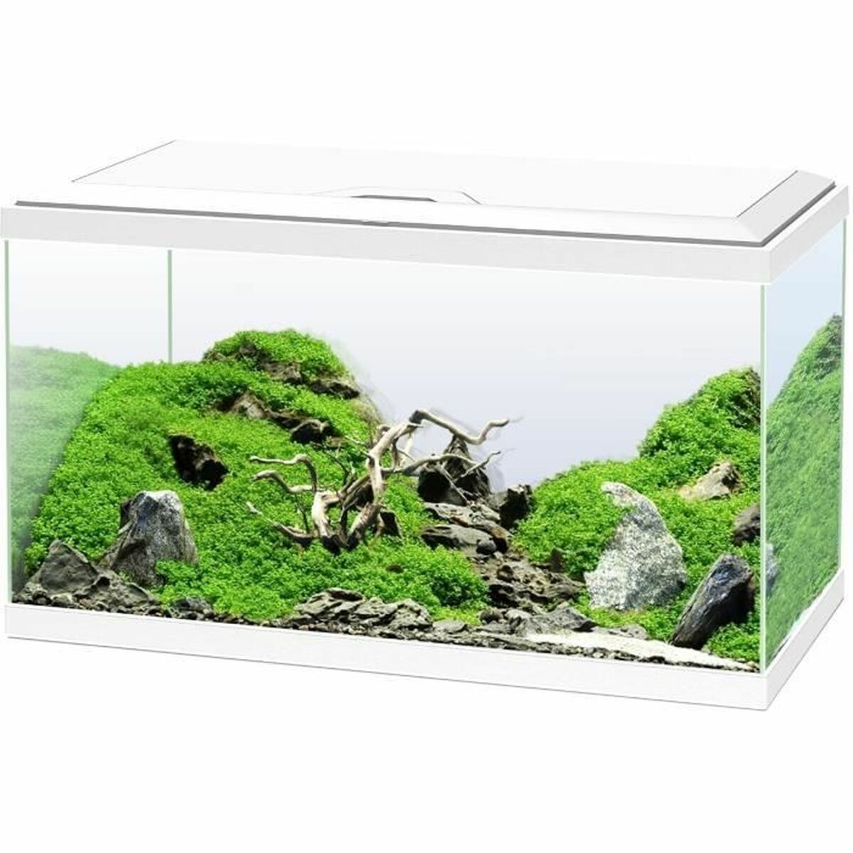 Aquarien